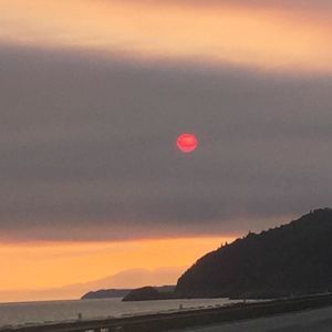 Meet your Posher, Edwin